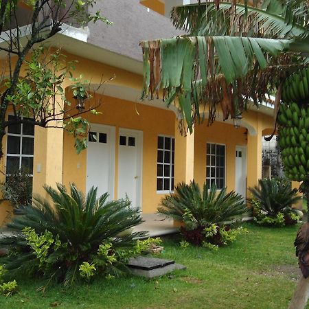 Posada Los Robles Tepoztlan Ngoại thất bức ảnh